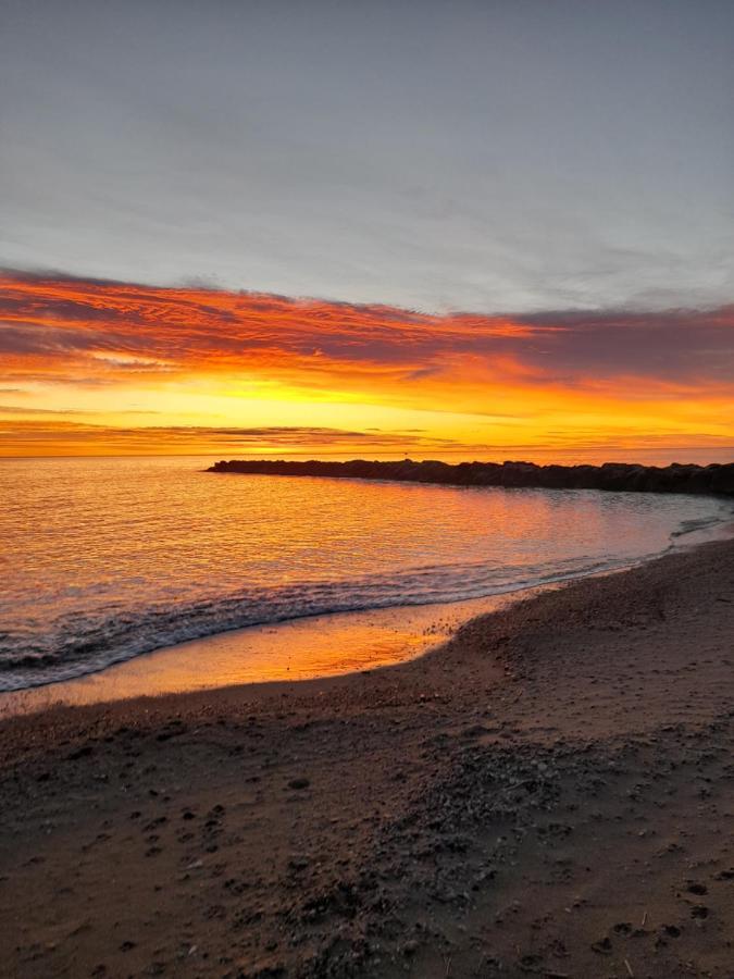 Les Pieds Dans L'Eau Sainte-Marie-la-Mer Exterior foto
